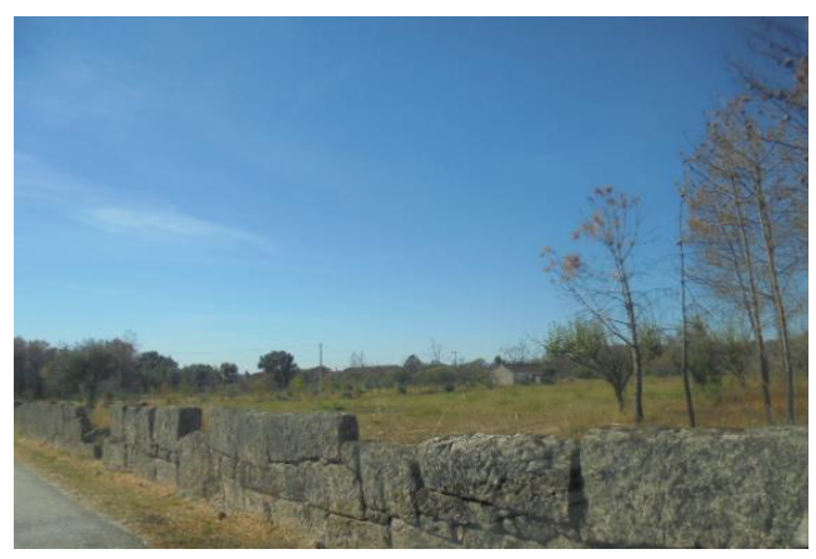 Lote 6