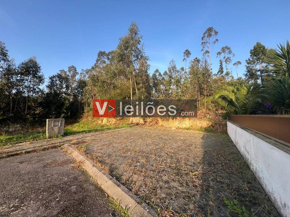 Lote 16