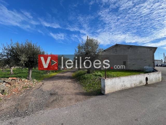 Lote 1