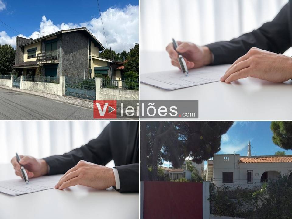 Lote 1 Lote 1