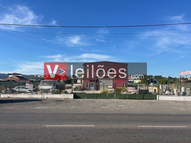 Lote 10