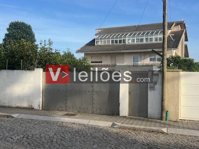 Lote 1